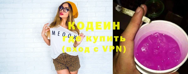 крисы Елабуга