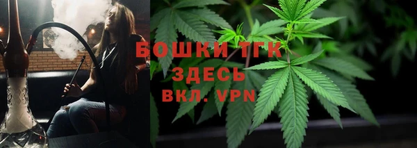 apvp Ельня