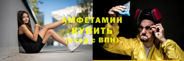 крисы Елабуга