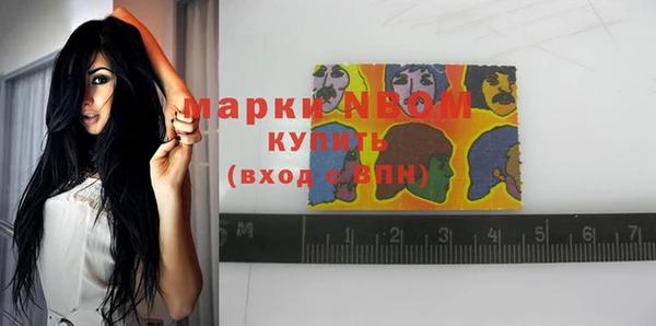 крисы Елабуга