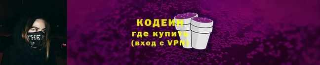 Альфа ПВП Елизово