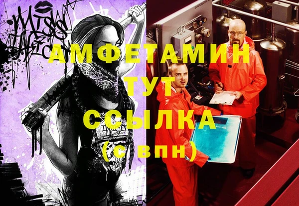 apvp Ельня