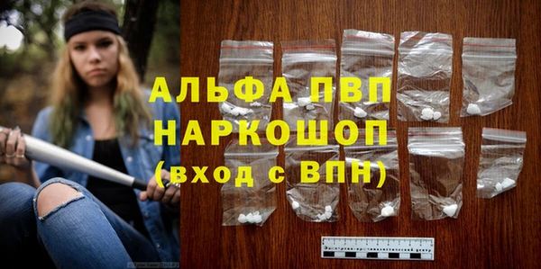 крисы Елабуга