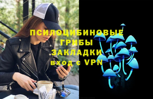 apvp Ельня