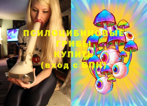 Альфа ПВП Елизово