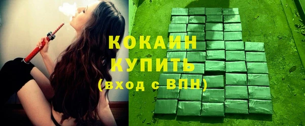 apvp Ельня