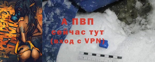Альфа ПВП Елизово