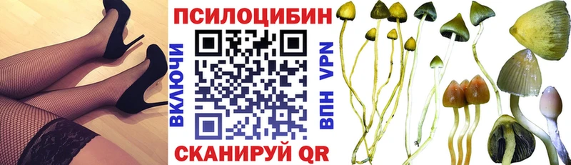 МЕГА ТОР  Змеиногорск  Галлюциногенные грибы прущие грибы 