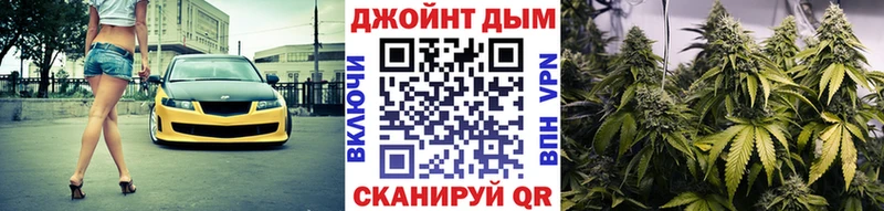 Марихуана SATIVA & INDICA  продажа наркотиков  Змеиногорск 